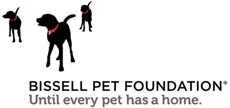 hsnt keller regional adoption center.
